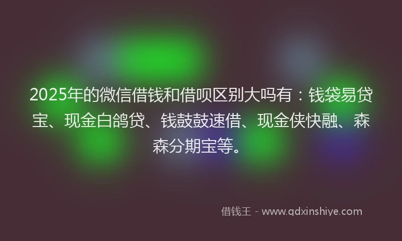 2025年的微信借钱和借呗区别大吗有：钱袋易贷宝、现金白鸽贷、钱鼓鼓速借、现金侠快融、森森分期宝等。