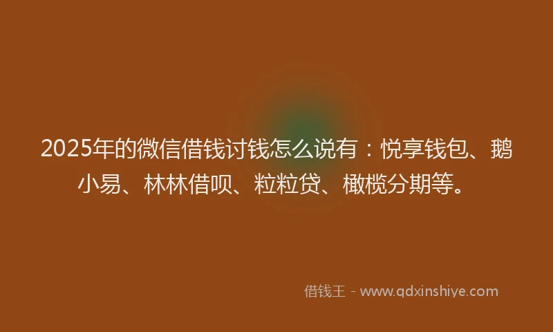 2025年的微信借钱讨钱怎么说有：悦享钱包、鹅小易、林林借呗、粒粒贷、橄榄分期等。