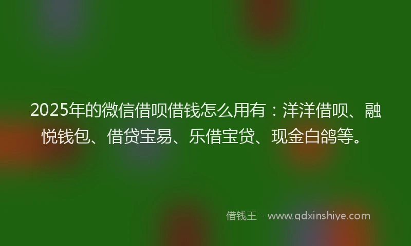 2025年的微信借呗借钱怎么用有：洋洋借呗、融悦钱包、借贷宝易、乐借宝贷、现金白鸽等。