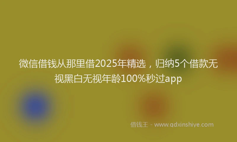 微信借钱从那里借2025年精选，归纳5个借款无视黑白无视年龄100%秒过app