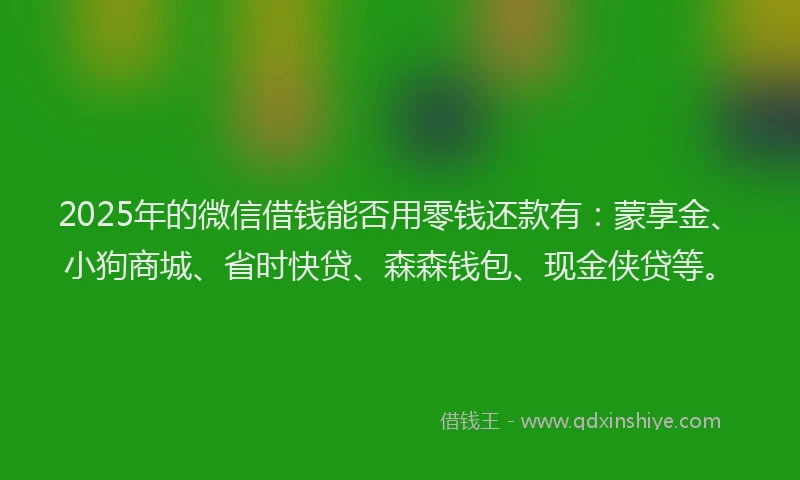 2025年的微信借钱能否用零钱还款有：蒙享金、小狗商城、省时快贷、森森钱包、现金侠贷等。