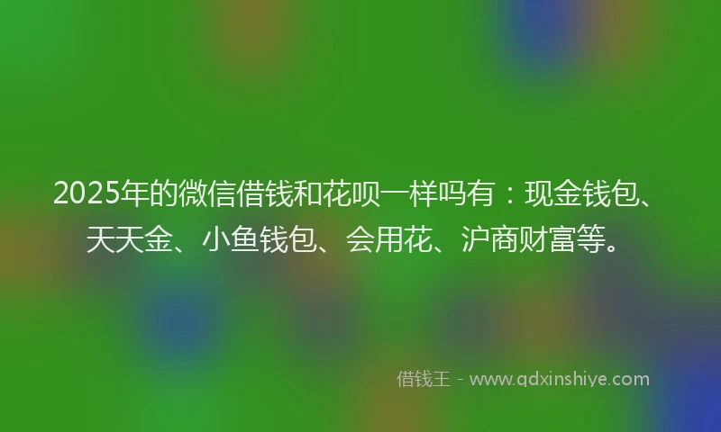 2025年的微信借钱和花呗一样吗有：现金钱包、天天金、小鱼钱包、会用花、沪商财富等。