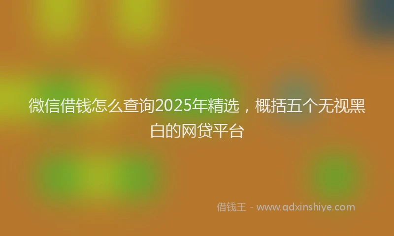 微信借钱怎么查询2025年精选，概括五个无视黑白的网贷平台