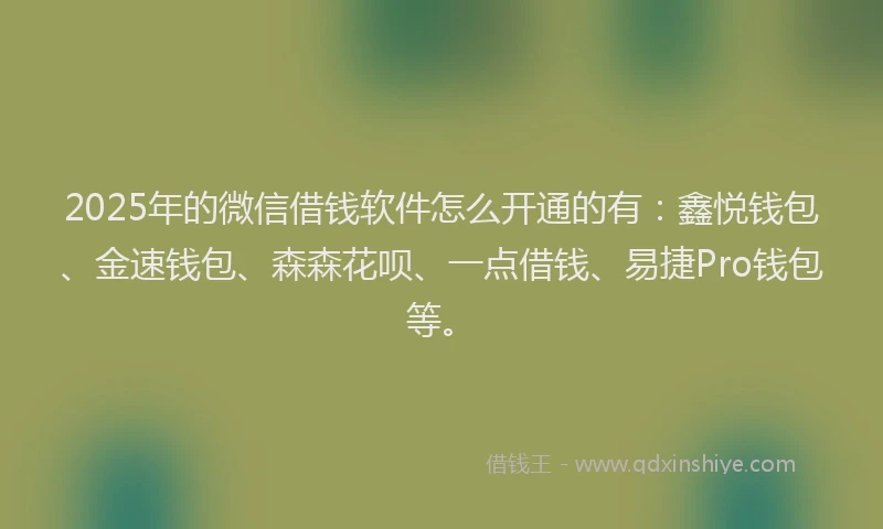 2025年的微信借钱软件怎么开通的有：鑫悦钱包、金速钱包、森森花呗、一点借钱、易捷Pro钱包等。