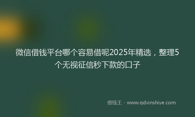微信借钱平台哪个容易借呢2025年精选，整理5个无视征信秒下款的口子