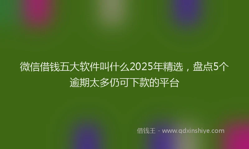 微信借钱五大软件叫什么2025年精选，盘点5个逾期太多仍可下款的平台
