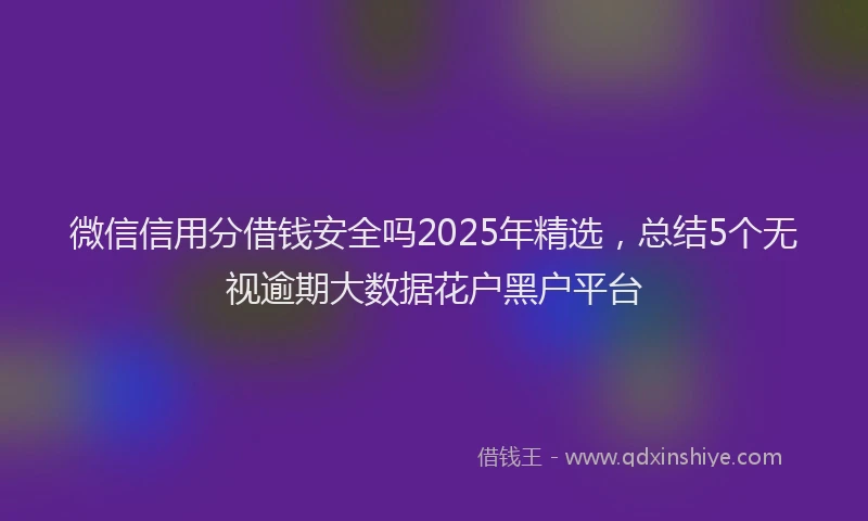 微信信用分借钱安全吗2025年精选，总结5个无视逾期大数据花户黑户平台