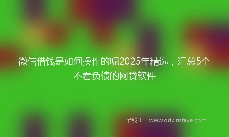 微信借钱是如何操作的呢2025年精选，汇总5个不看负债的网贷软件