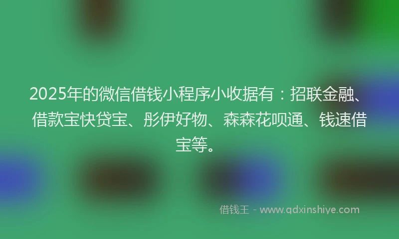 2025年的微信借钱小程序小收据有：招联金融、借款宝快贷宝、彤伊好物、森森花呗通、钱速借宝等。