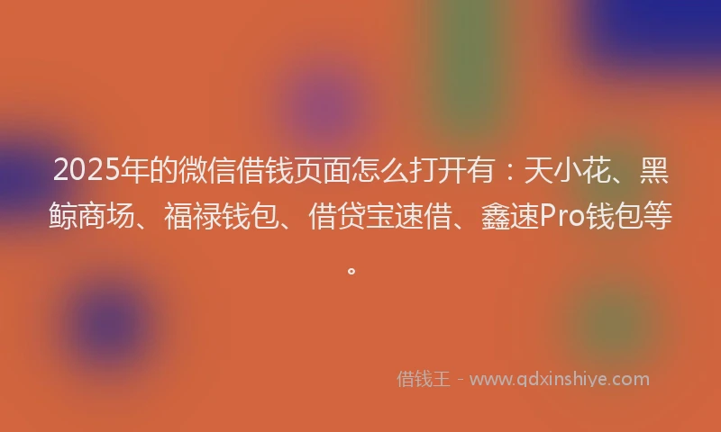 2025年的微信借钱页面怎么打开有：天小花、黑鲸商场、福禄钱包、借贷宝速借、鑫速Pro钱包等。