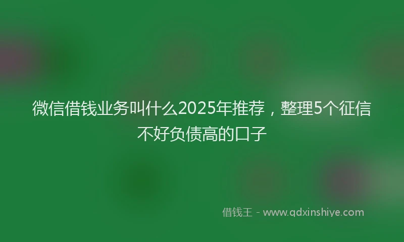 微信借钱业务叫什么2025年推荐，整理5个征信不好负债高的口子