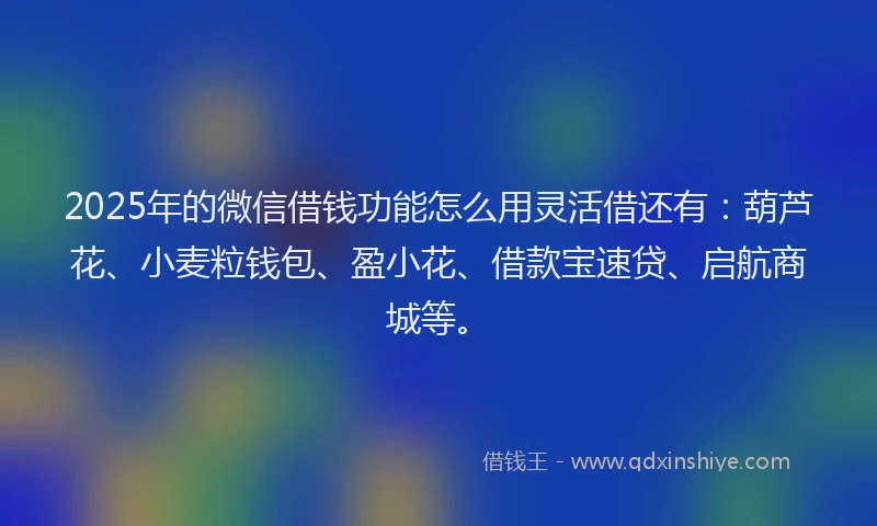 2025年的微信借钱功能怎么用灵活借还有：葫芦花、小麦粒钱包、盈小花、借款宝速贷、启航商城等。