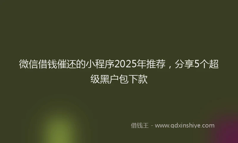 微信借钱催还的小程序2025年推荐，分享5个超级黑户包下款