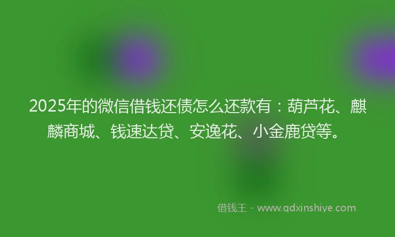 2025年的微信借钱还债怎么还款有：葫芦花、麒麟商城、钱速达贷、安逸花、小金鹿贷等。