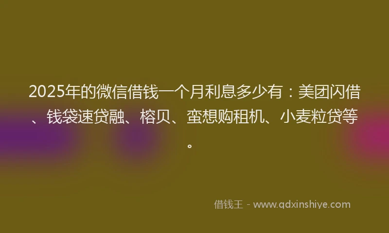 2025年的微信借钱一个月利息多少有：美团闪借、钱袋速贷融、榕贝、蛮想购租机、小麦粒贷等。