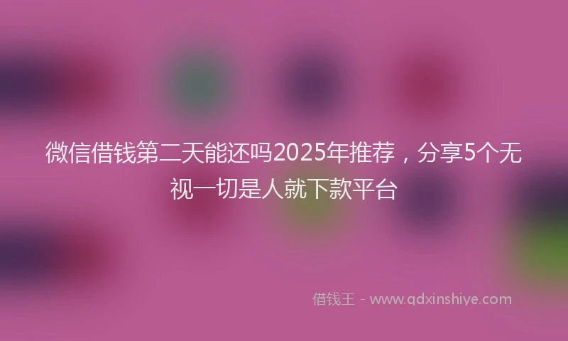 微信借钱第二天能还吗2025年推荐，分享5个无视一切是人就下款平台
