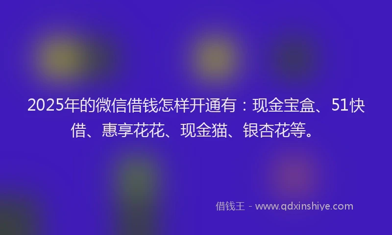 2025年的微信借钱怎样开通有：现金宝盒、51快借、惠享花花、现金猫、银杏花等。