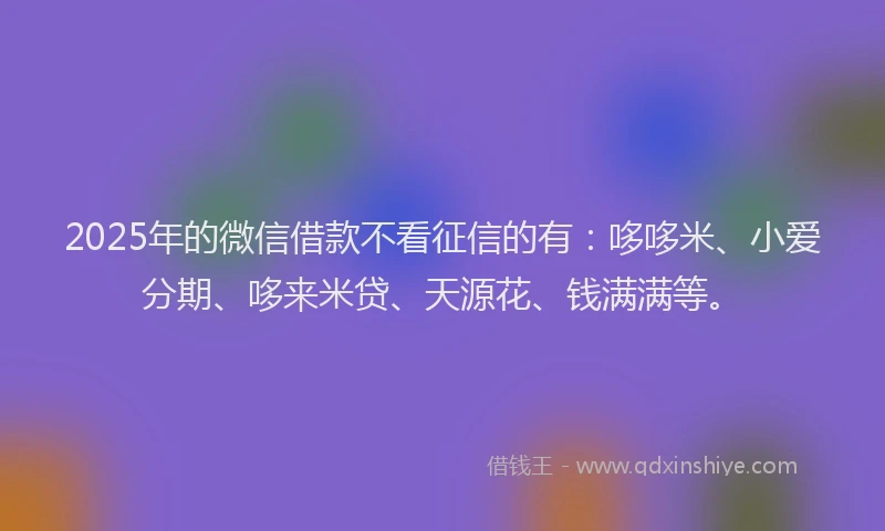 2025年的微信借款不看征信的有：哆哆米、小爱分期、哆来米贷、天源花、钱满满等。