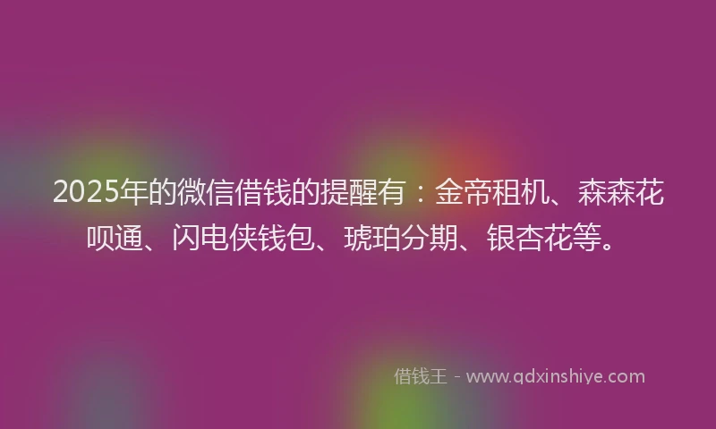 2025年的微信借钱的提醒有：金帝租机、森森花呗通、闪电侠钱包、琥珀分期、银杏花等。