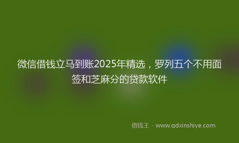 微信借钱立马到账2025年精选，罗列五个不用面签和芝麻分的贷款软件