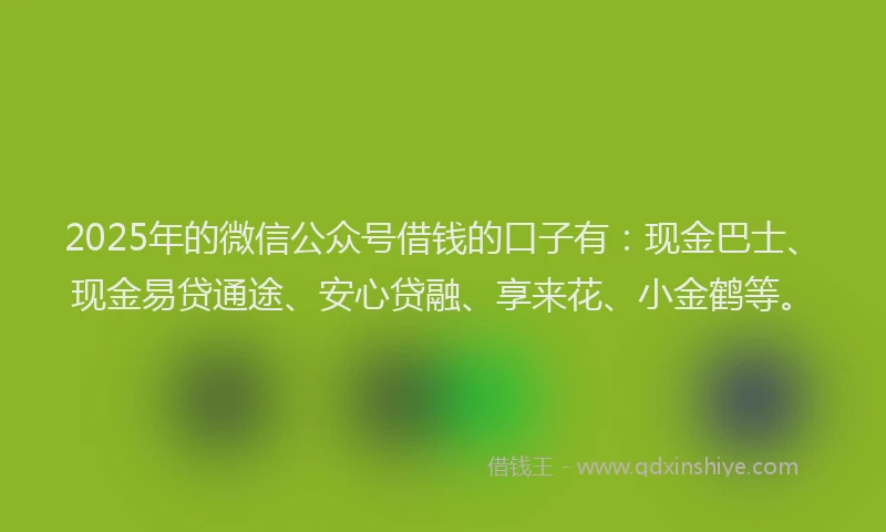 2025年的微信公众号借钱的口子有：现金巴士、现金易贷通途、安心贷融、享来花、小金鹤等。