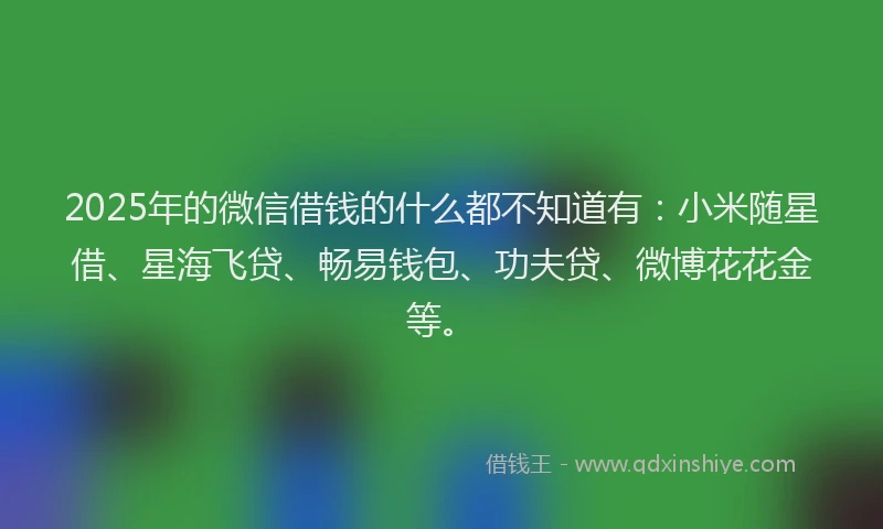 2025年的微信借钱的什么都不知道有：小米随星借、星海飞贷、畅易钱包、功夫贷、微博花花金等。