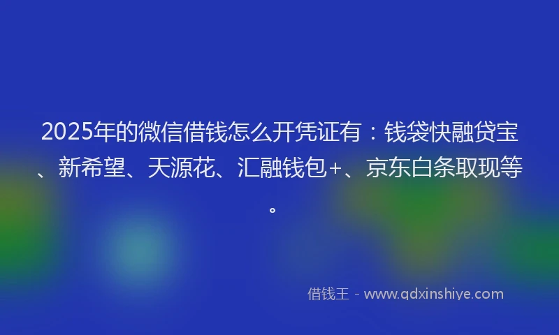2025年的微信借钱怎么开凭证有：钱袋快融贷宝、新希望、天源花、汇融钱包+、京东白条取现等。