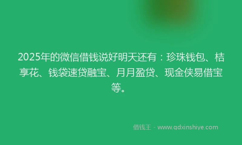 2025年的微信借钱说好明天还有：珍珠钱包、桔享花、钱袋速贷融宝、月月盈贷、现金侠易借宝等。