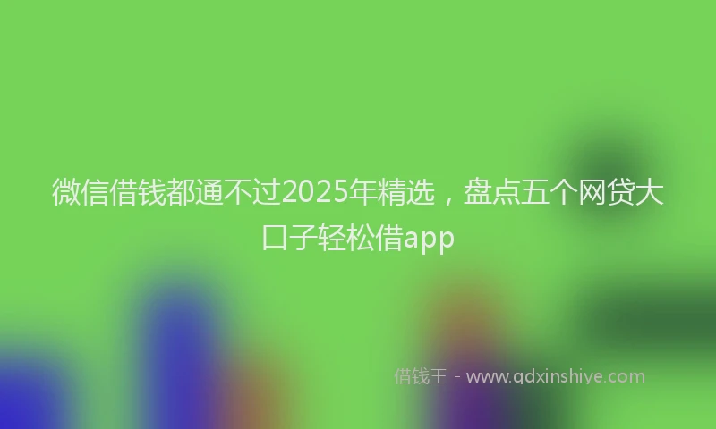 微信借钱都通不过2025年精选，盘点五个网贷大口子轻松借app