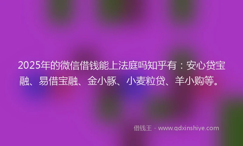 2025年的微信借钱能上法庭吗知乎有：安心贷宝融、易借宝融、金小豚、小麦粒贷、羊小购等。