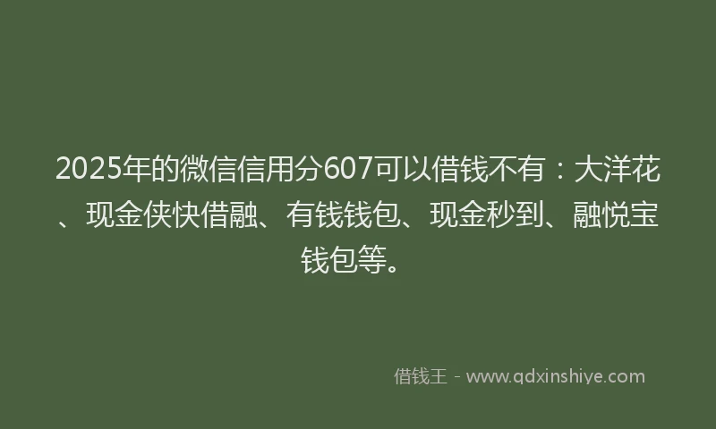 2025年的微信信用分607可以借钱不有：大洋花、现金侠快借融、有钱钱包、现金秒到、融悦宝钱包等。