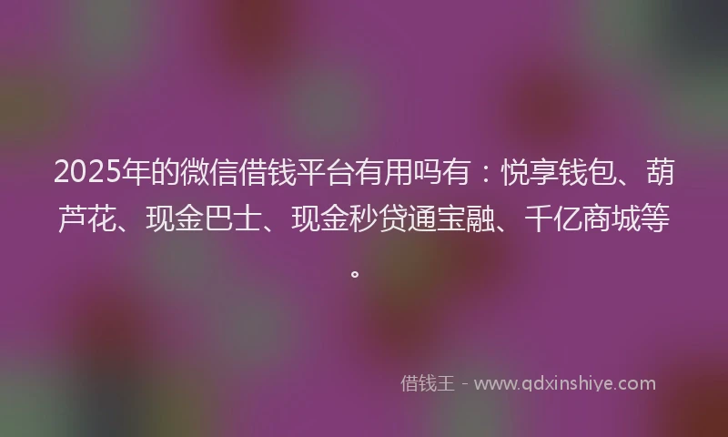 2025年的微信借钱平台有用吗有：悦享钱包、葫芦花、现金巴士、现金秒贷通宝融、千亿商城等。