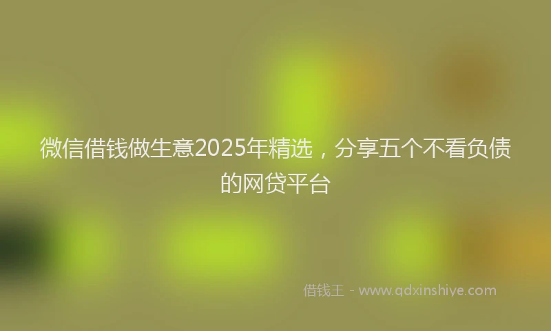 微信借钱做生意2025年精选，分享五个不看负债的网贷平台