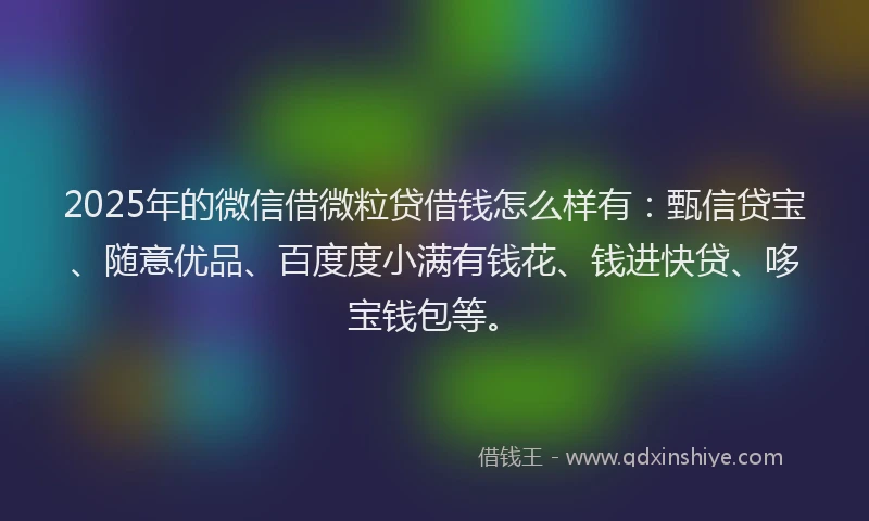 2025年的微信借微粒贷借钱怎么样有：甄信贷宝、随意优品、百度度小满有钱花、钱进快贷、哆宝钱包等。