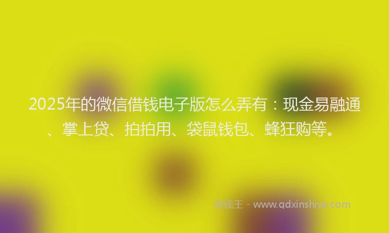 2025年的微信借钱电子版怎么弄有：现金易融通、掌上贷、拍拍用、袋鼠钱包、蜂狂购等。