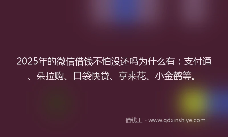 2025年的微信借钱不怕没还吗为什么有：支付通、朵拉购、口袋快贷、享来花、小金鹤等。