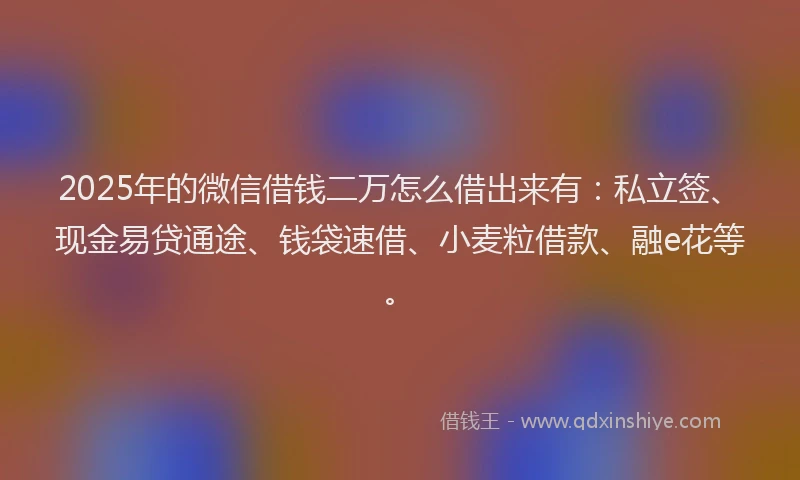 2025年的微信借钱二万怎么借出来有：私立签、现金易贷通途、钱袋速借、小麦粒借款、融e花等。