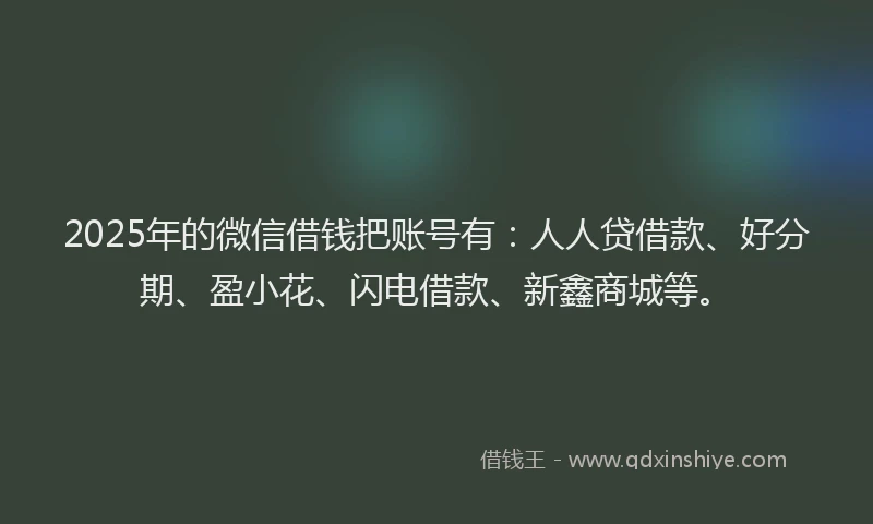 2025年的微信借钱把账号有：人人贷借款、好分期、盈小花、闪电借款、新鑫商城等。