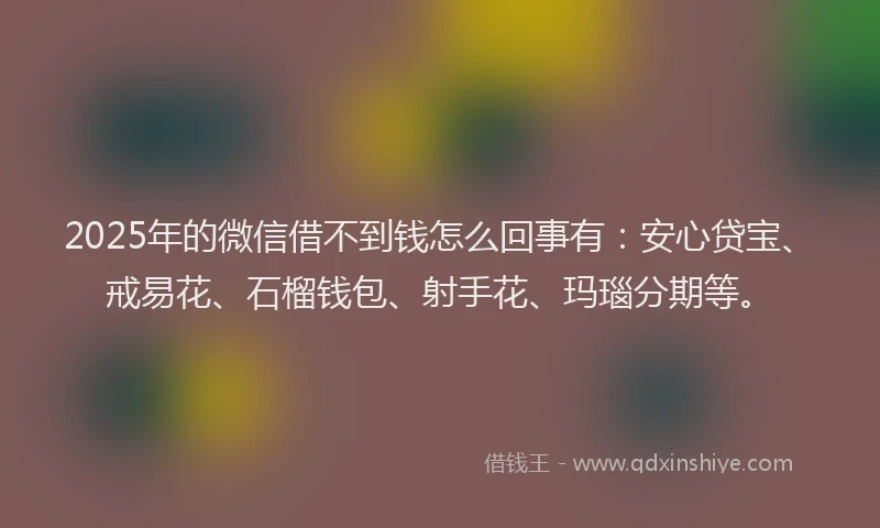 2025年的微信借不到钱怎么回事有：安心贷宝、戒易花、石榴钱包、射手花、玛瑙分期等。