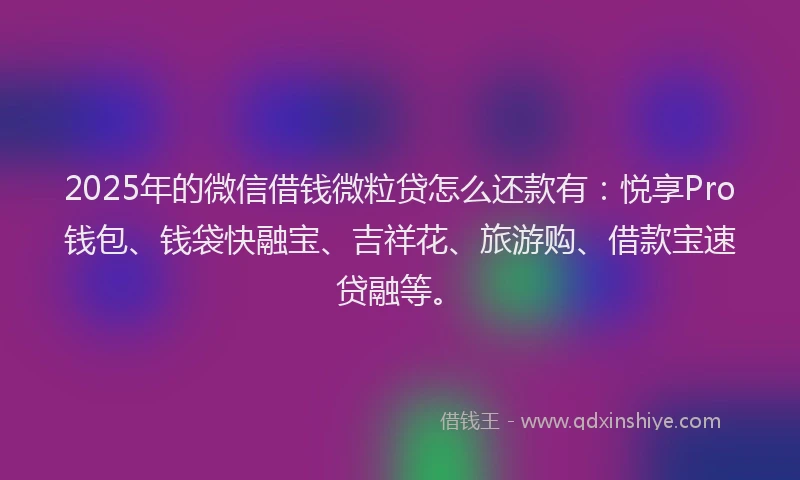 2025年的微信借钱微粒贷怎么还款有：悦享Pro钱包、钱袋快融宝、吉祥花、旅游购、借款宝速贷融等。