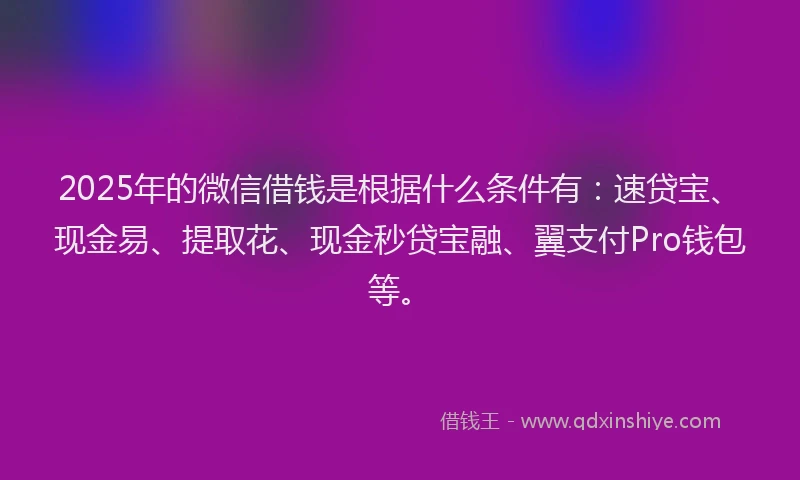 2025年的微信借钱是根据什么条件有：速贷宝、现金易、提取花、现金秒贷宝融、翼支付Pro钱包等。