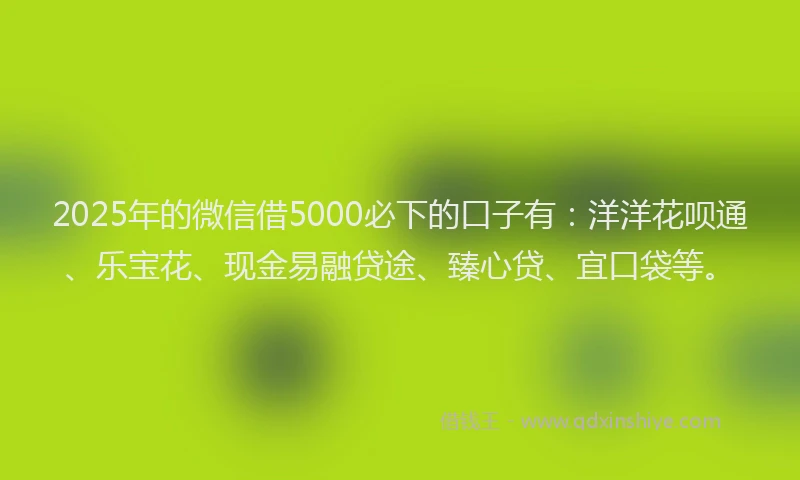 2025年的微信借5000必下的口子有：洋洋花呗通、乐宝花、现金易融贷途、臻心贷、宜口袋等。