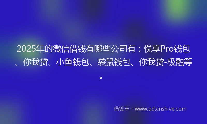 2025年的微信借钱有哪些公司有：悦享Pro钱包、你我贷、小鱼钱包、袋鼠钱包、你我贷-极融等。