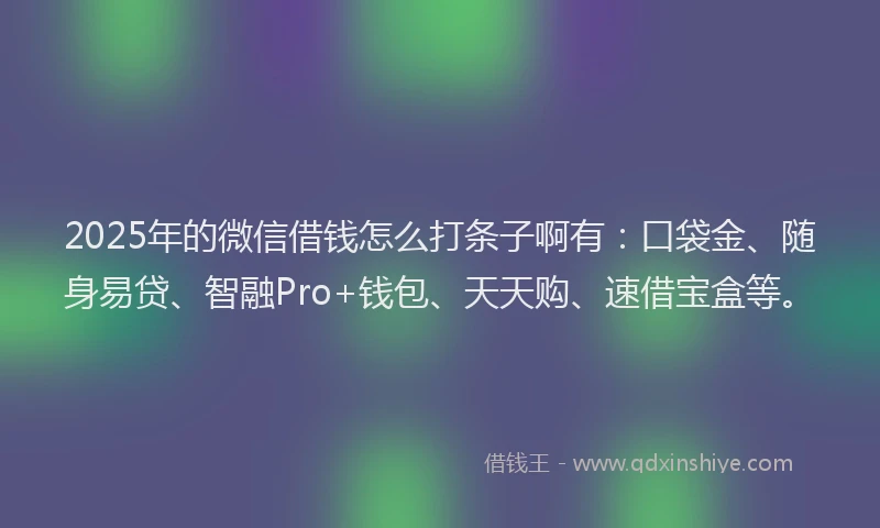 2025年的微信借钱怎么打条子啊有：口袋金、随身易贷、智融Pro+钱包、天天购、速借宝盒等。