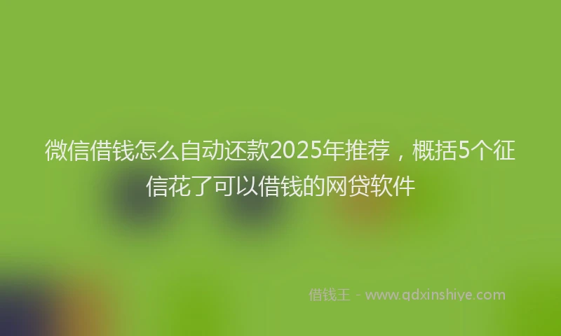 微信借钱怎么自动还款2025年推荐，概括5个征信花了可以借钱的网贷软件