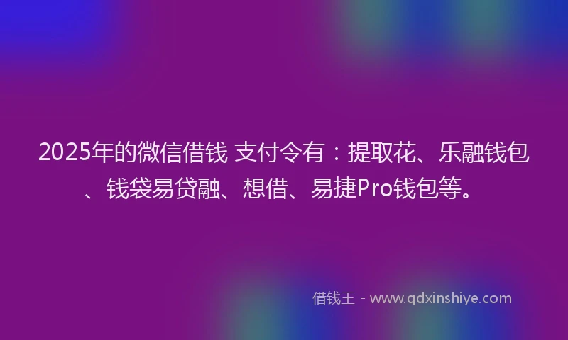 2025年的微信借钱 支付令有：提取花、乐融钱包、钱袋易贷融、想借、易捷Pro钱包等。