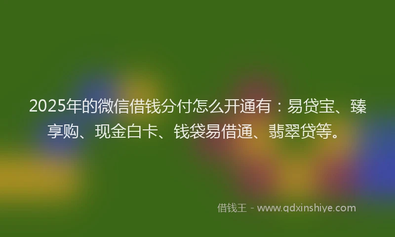 2025年的微信借钱分付怎么开通有：易贷宝、臻享购、现金白卡、钱袋易借通、翡翠贷等。