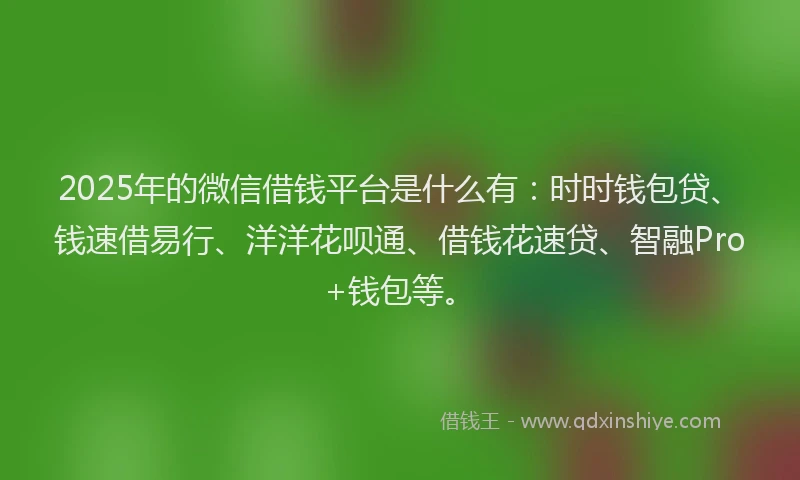 2025年的微信借钱平台是什么有：时时钱包贷、钱速借易行、洋洋花呗通、借钱花速贷、智融Pro+钱包等。