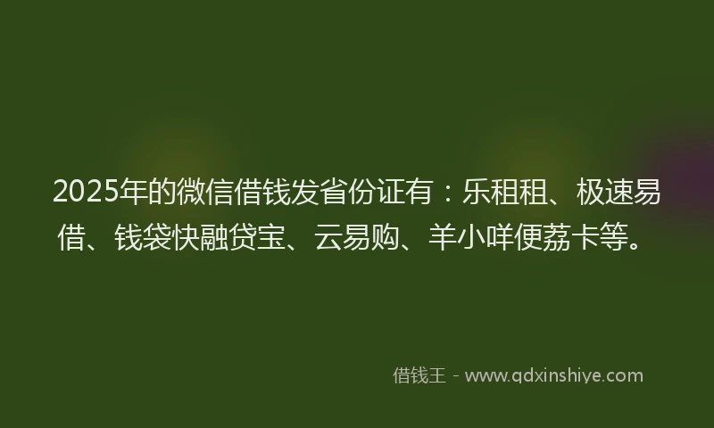 2025年的微信借钱发省份证有：乐租租、极速易借、钱袋快融贷宝、云易购、羊小咩便荔卡等。
