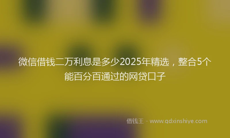 微信借钱二万利息是多少2025年精选，整合5个能百分百通过的网贷口子